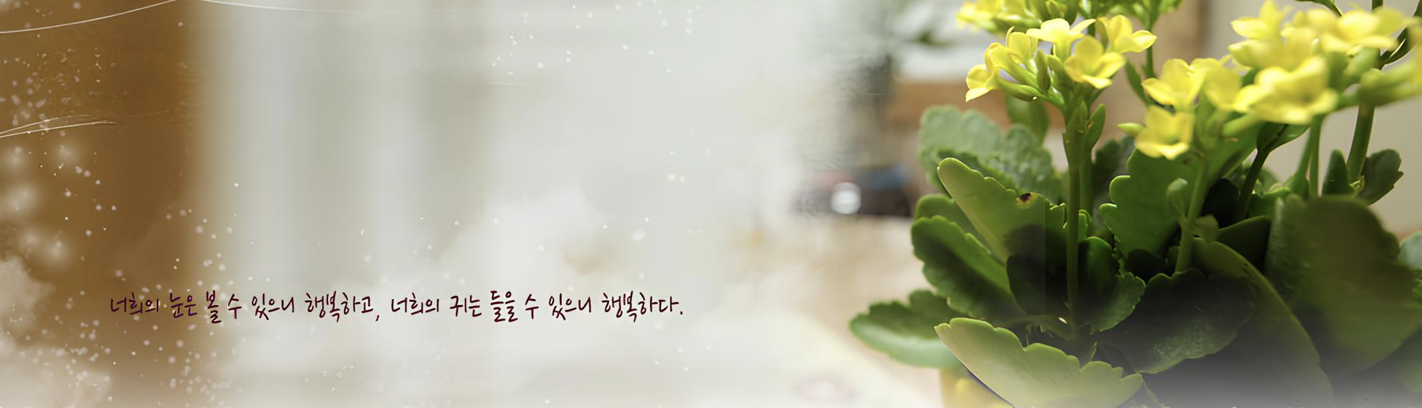 씨튼영성센터 이미지