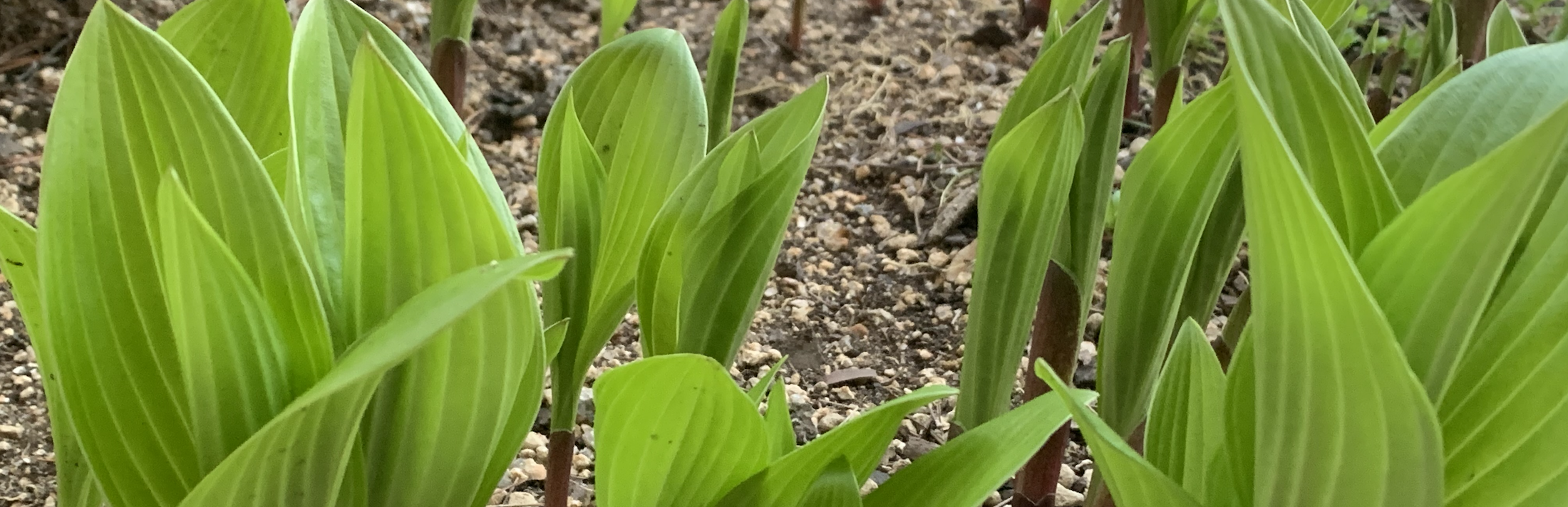 씨튼영성센터 이미지